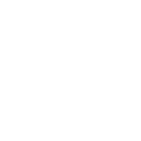 Mobile Auto Repair