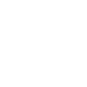 Engine Diagnostics